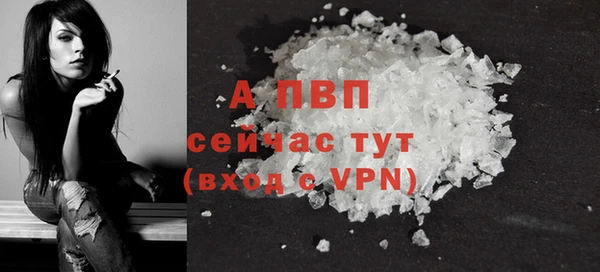 тгк Дмитров