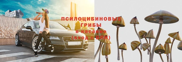 тгк Дмитров