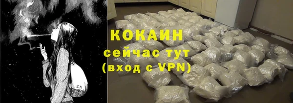 тгк Дмитров
