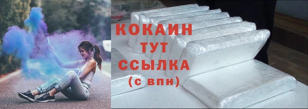 кокс Дмитриев
