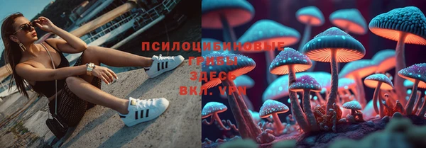 кокс Дмитриев