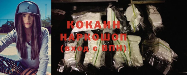 кокс Дмитриев
