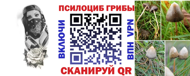 Галлюциногенные грибы MAGIC MUSHROOMS  KRAKEN вход  Знаменск 