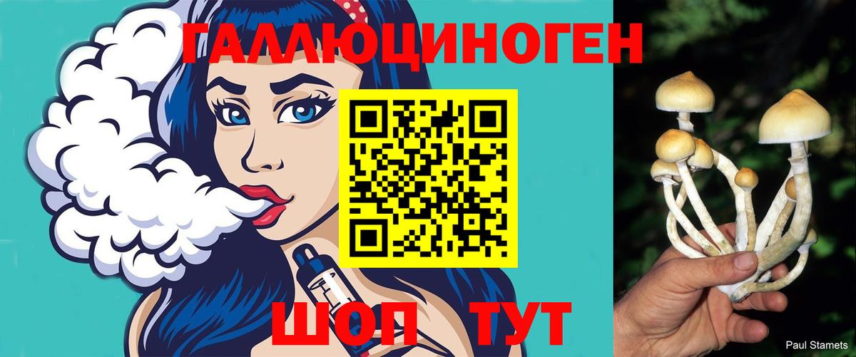 Знаменск  даркнет сайт  Вход с VPN  Псилоцибиновые грибы ЛСД 